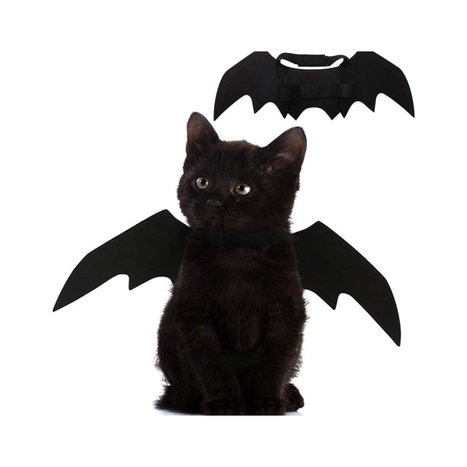 Cat Bat Wings Halloween Costume