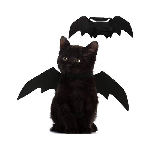 Cat Bat Wings Halloween Costume
